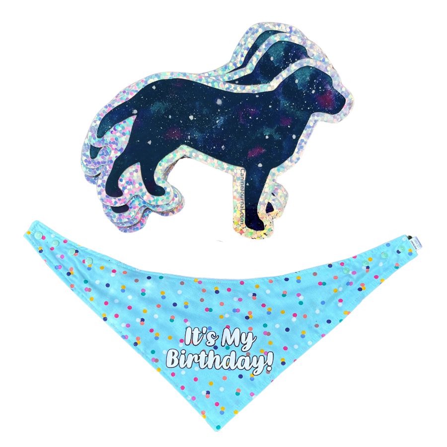 New In the Shop: Sparkle Dog Stickers & Birthday Bandanas!